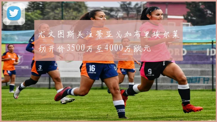 尤文图斯关注蒂亚戈加布里埃尔莱切开价3500万至4000万欧元