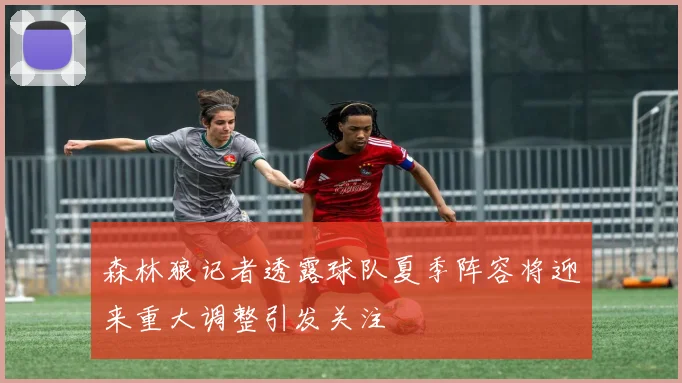 森林狼记者透露球队夏季阵容将迎来重大调整引发关注